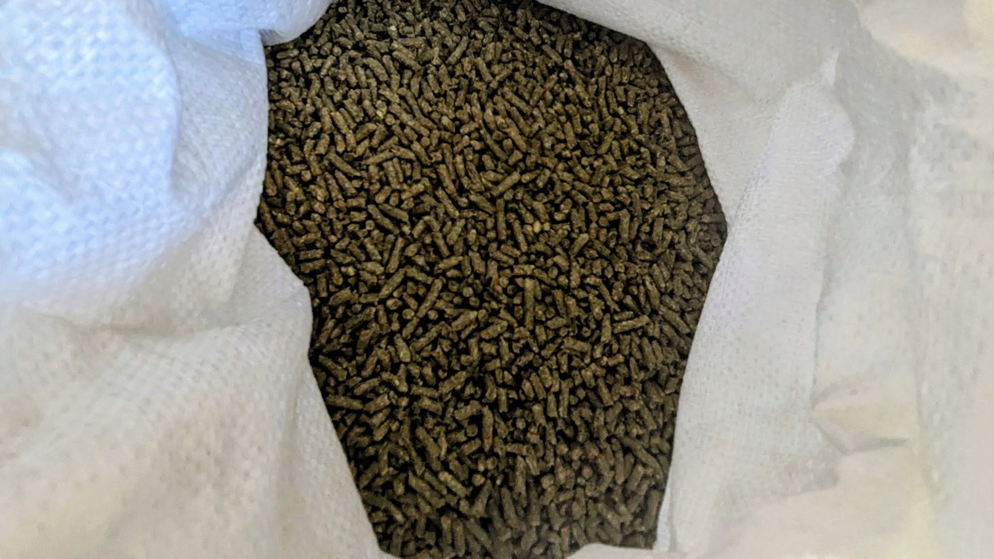 485018001_9655727371143856_6170259483910604735_n